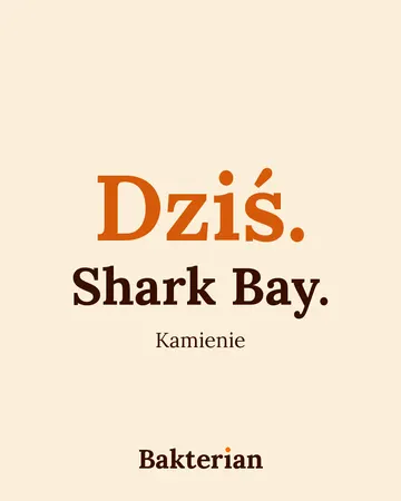 Napis: Dziś. Shark Bay. Kamienie.