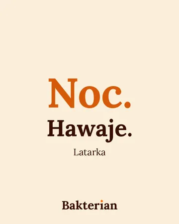 Napis: Noc. Hawaje. Latarka.
