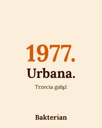 Napis: 1977. Urbana. Trzecia gałąź.